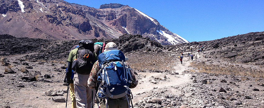 7 Days Mount Kilimanjaro Climbing Lemosho Route