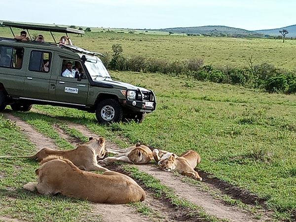 Safari în Kenya și Tanzania