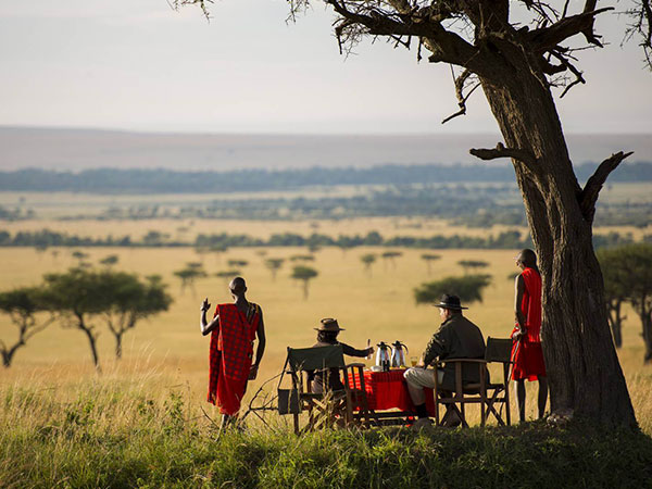 Kenya Safaris